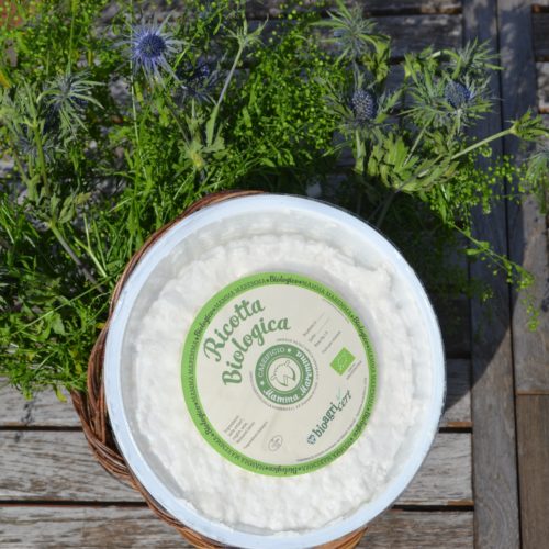 ricotta romana bio mamma maremma